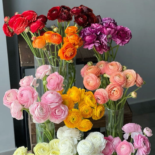 Assorted flowers in clear vases on a reflective surface with a neutral background