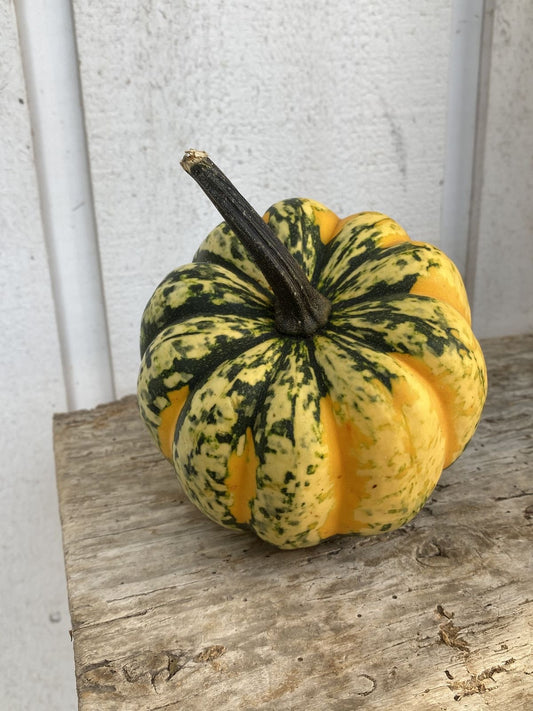 Imported Vegetable Pumpkin Seeds – 40 to 50 Seeds