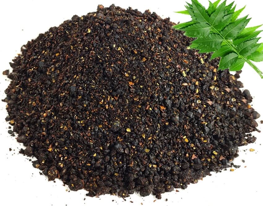 neem seed powder for plants Buy Neem Khali Fertilizer 1Kg Online