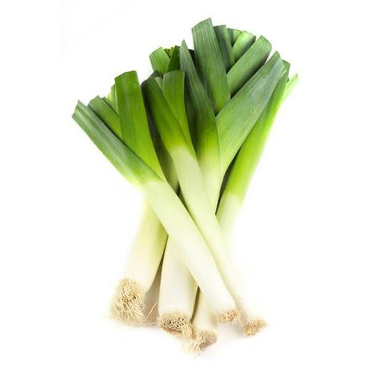 Leek Imported Seeds 50-100