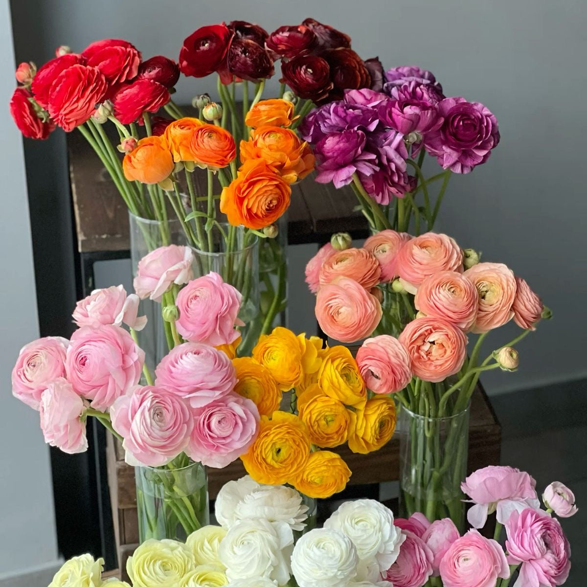 Assorted flowers in clear vases on a reflective surface with a neutral background