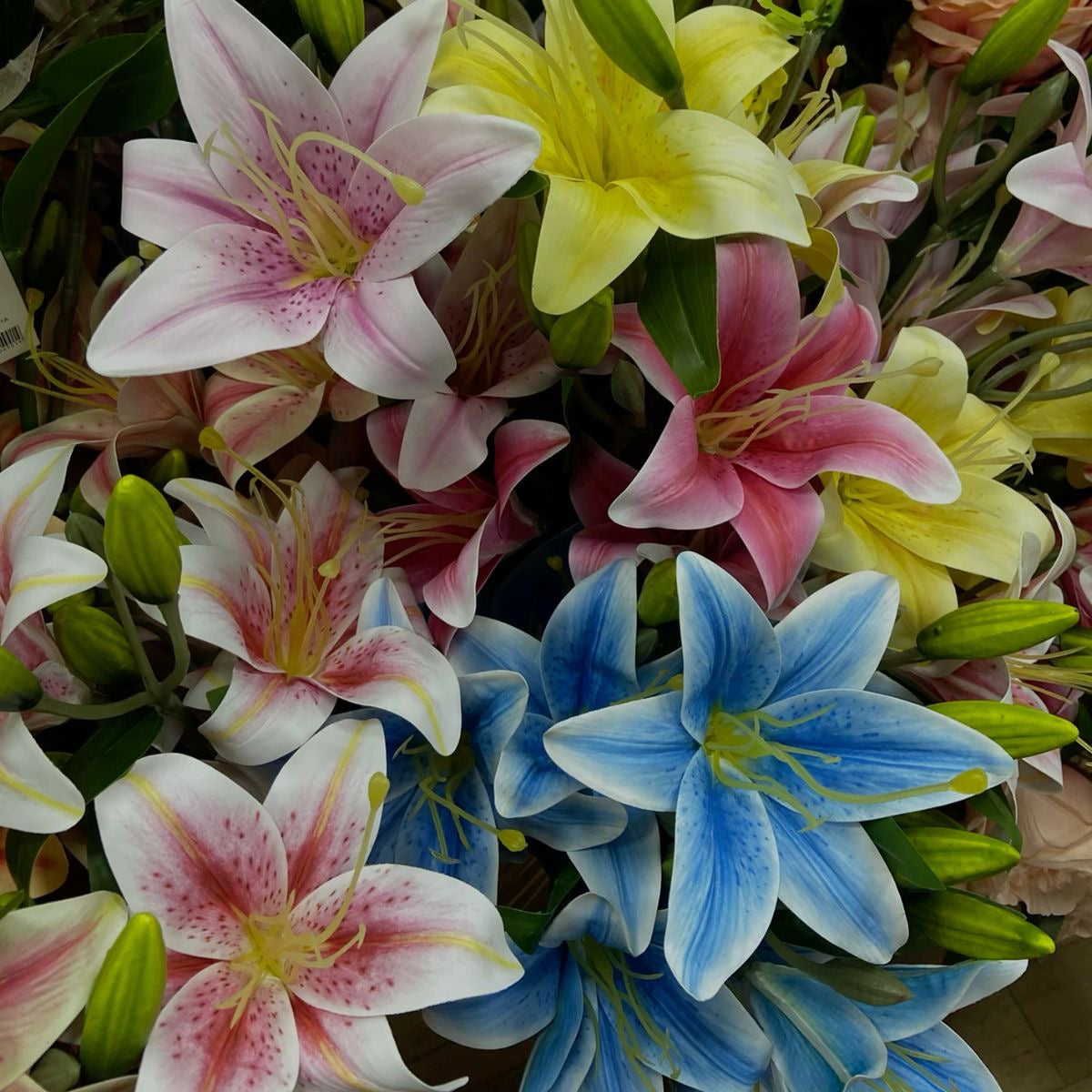 Bouquet of colorful flowers including lilies and roses.
