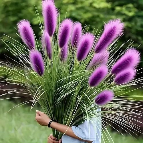 Bouquet of purple and green grass held by a person in a blurred natural setting