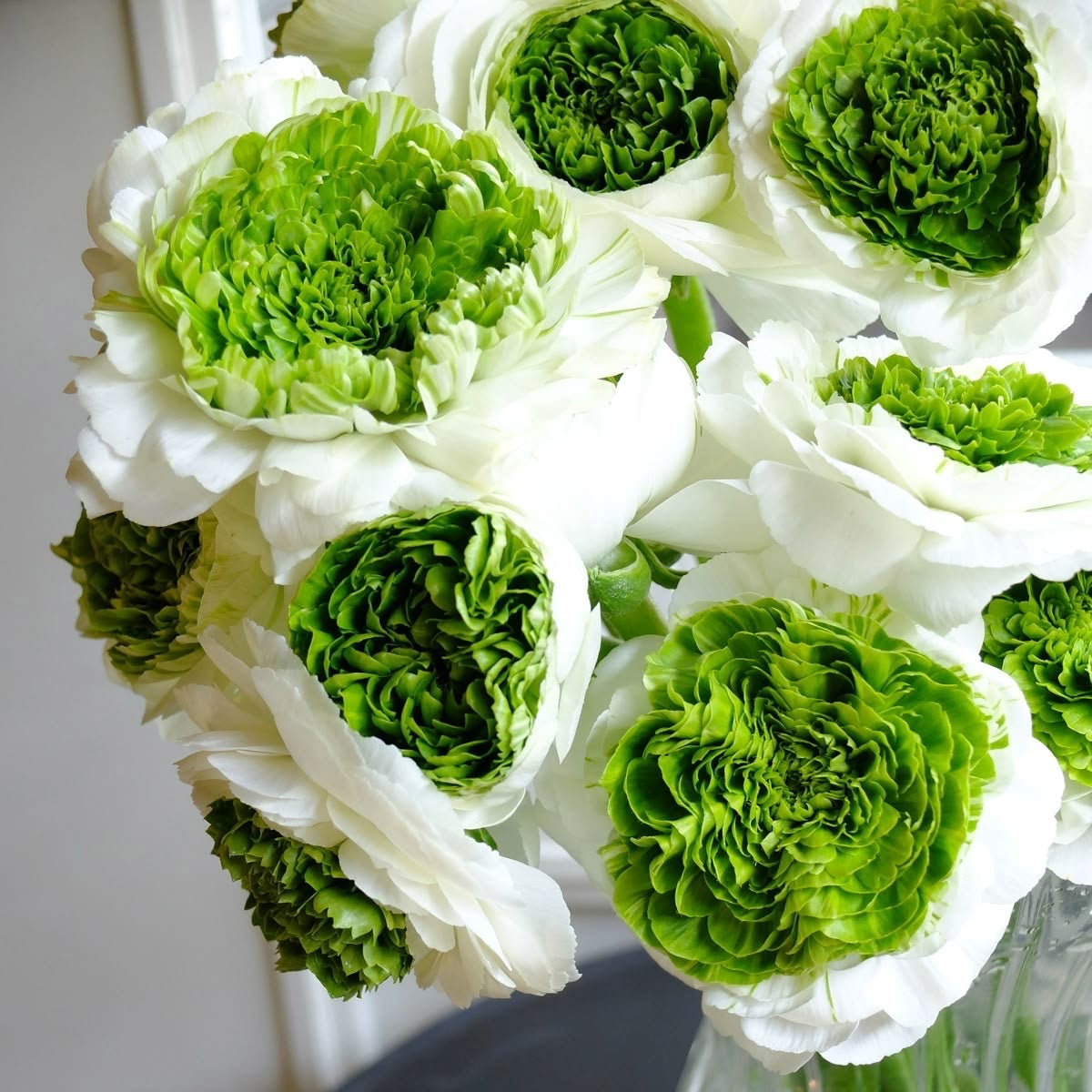 Bouquet of white and green flowers in a clear vase.