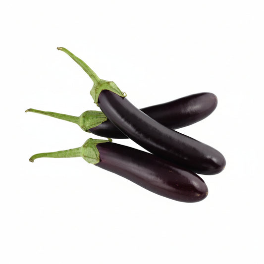 Premium Brinjal (Eggplant) Seeds – 50–60 Seeds Pack | High Germination | Home & Kitchen Garden