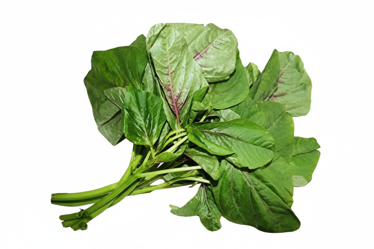 leafy vegetables spinach methi coriander growing in home kitchen garden India