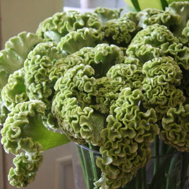 Green decorative flowers in a clear vase against a neutral background