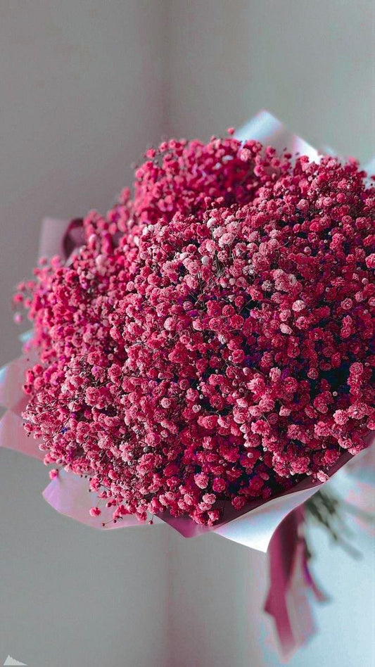 Gypsophila Baby's Breath Flower Seeds – 100 Seeds