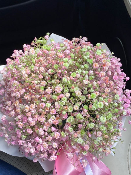 Gypsophila Baby's Breath Flower Seeds – 100 Seeds