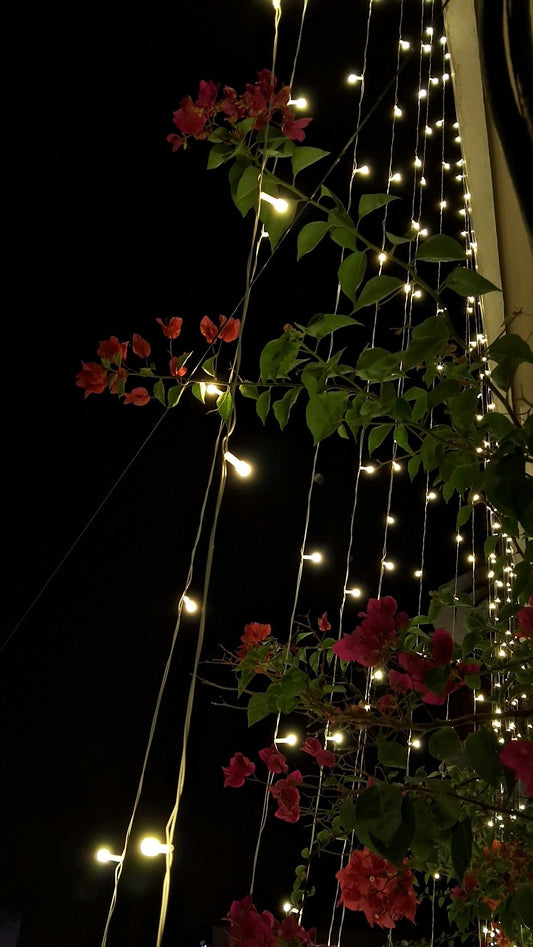 Diwali Garden Decor Lights 15 Metre - (Pack of 1) | Decorative String Lights