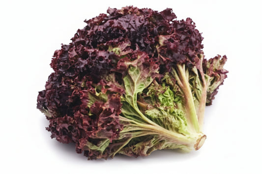 Premium Cabbage, Cauliflower & Similar Vegetable Seeds – 50–60 Seeds Pack | High Germination