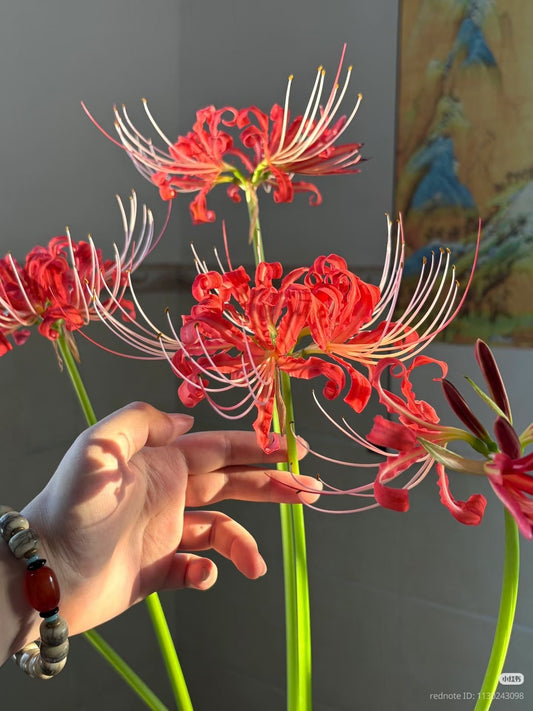 Excellent choice for gifting to gardening enthusiasts