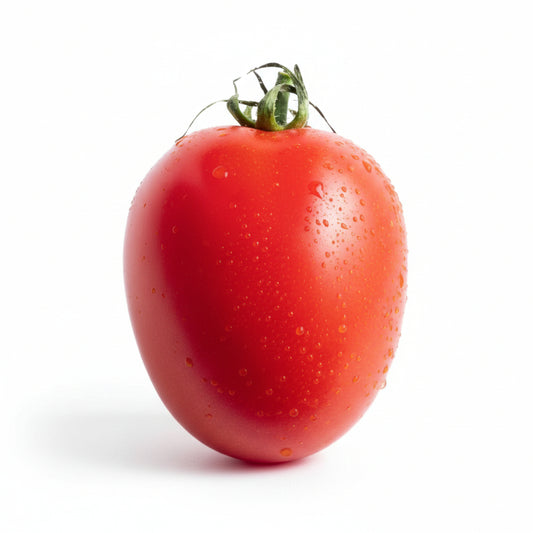 Premium Tomato Seeds – 50–60 Seeds Pack | High Germination