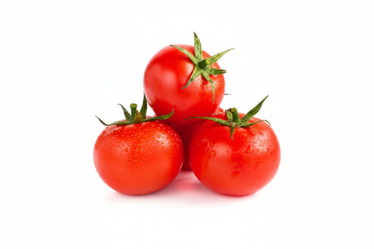 tomato plant growing from seeds in home kitchen garden India
