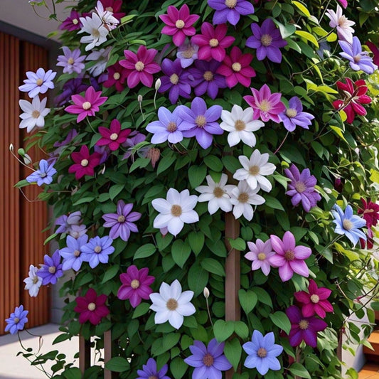 Vibrant flowering plant with purple, pink, white, and blue flowers on a green background.