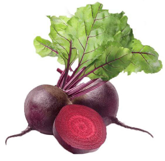 Beetroot Imported Seeds 20-30