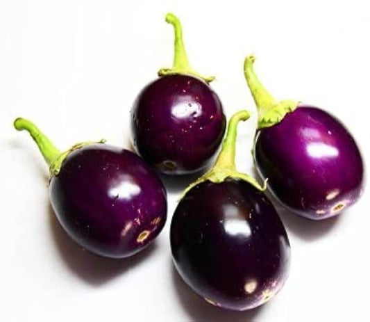 Brinjal Chu Chu Imported Seeds 50-100