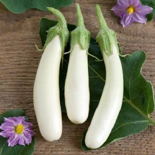 Brinjal White Long Imported Seeds 50-100