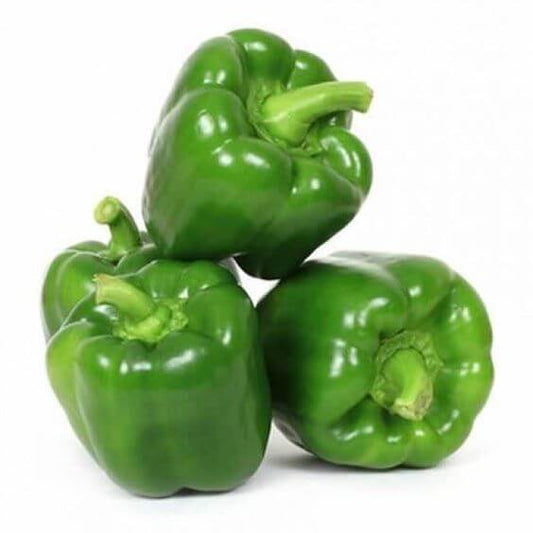 Capsicum Green Imported Seeds 30-40