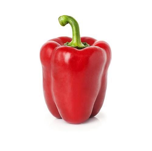 Capsicum Red Imported Seeds 30-40