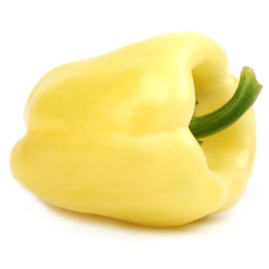 Capsicum White Imported Seeds 30-40