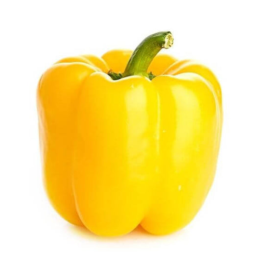 Capsicum Yellow Imported Seeds 30-40