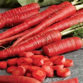 Carrot Red Imported Vegetable seeds 40-50