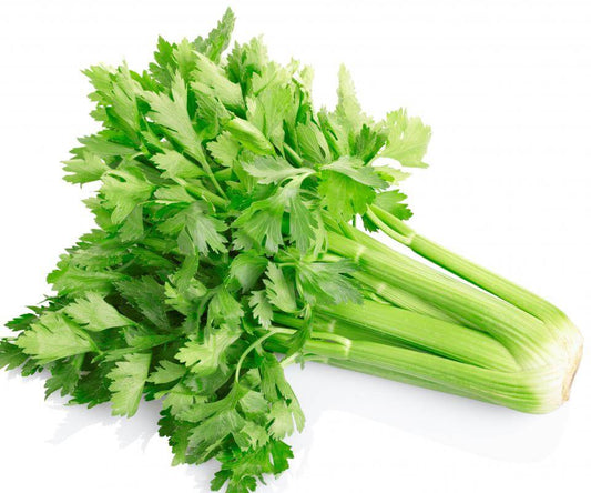 Celery Imported Seeds 50-100