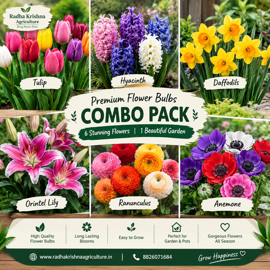 Premium Flower Bulbs Combo Pack – Tulip, Hyacinth, Daffodils, Oriental Lily, Ranunculus & Anemone