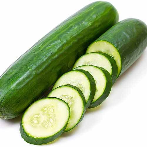 Cucumber Imported seeds 50-100