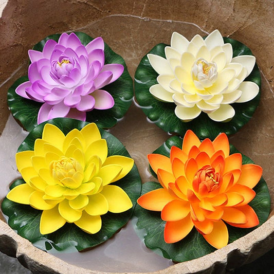 lotus flower seeds kamal for pond plant home garden