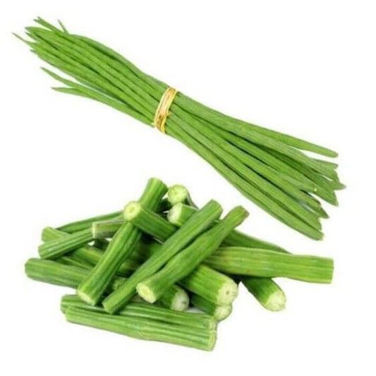 Moringa Drum Stick Herb Seeds, Imported Seeds 10-20