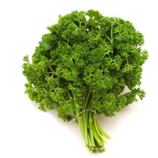 Parsley Imported Seeds 50-100