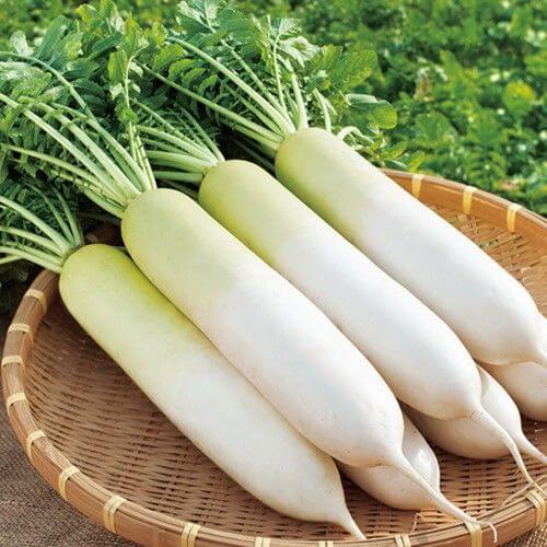 Radish Chandni Vegetable Imported seeds 50-10