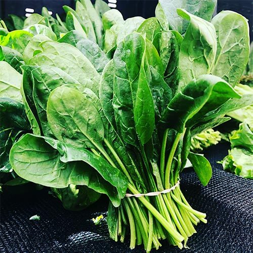 Spanish Green Vegetable Imported seeds 50-100