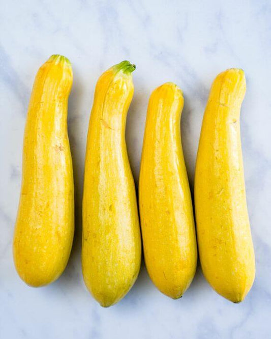 Squash Yellow Vegetable Imported seeds 20-30