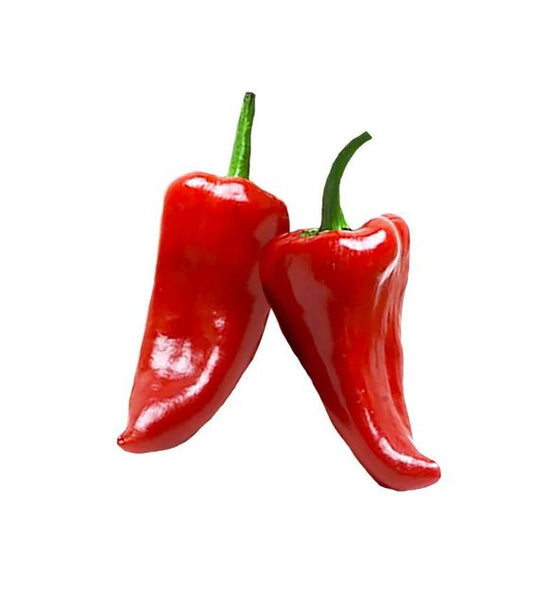 Sweet Pepper Red Imported Seeds 50-100