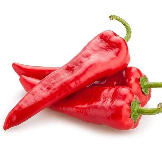 Sweet Pepper Red Imported Seeds 50-100